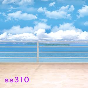 5'x8' SS310
